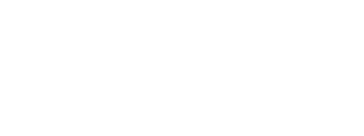 Logo Funk n Play